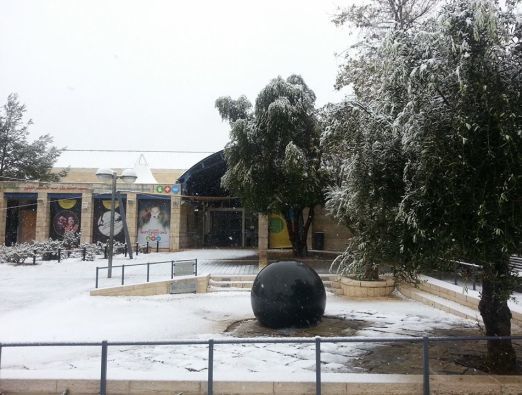 שלג במוזיאון המדע - 1