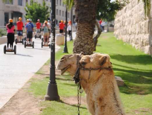 סמארט תור - 2