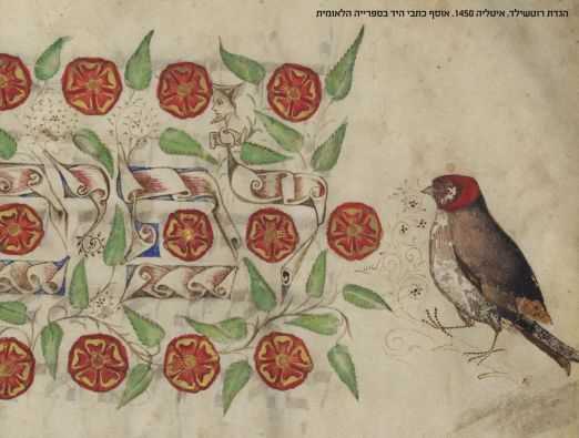 השבוע בירושלים - 5