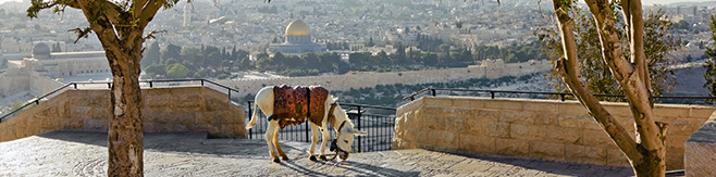 טיול יום בירושלים