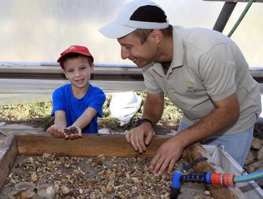 חוויה ארכיאולוגית בגן לאומי עמק צורים - 1